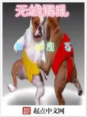 菠萝菠萝蜜在线视频