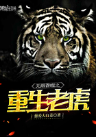 免费B站推广网站不用下载