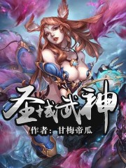 忍者战队隐连者