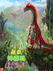 一龙二凤双飞老师