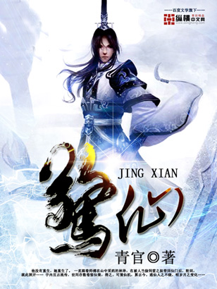 盛世狂妃傻女惊华