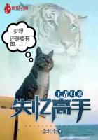 绝世唐门随梦小说网