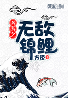 番肉动漫无修在线观看网站