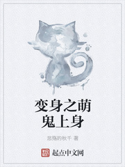 官场新贵txt下载