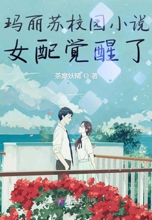 三国演义白话文全集