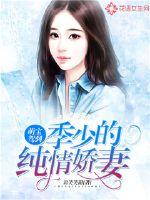 可惜不是你 小说