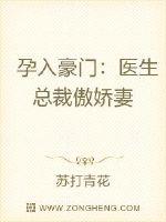 荡公乱妇第51章小说