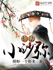 叶枫白苏苏反派逆袭系统小说