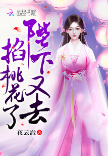 帝少的千亿宠儿