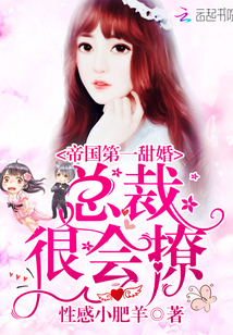 房客 无罪国度 小说