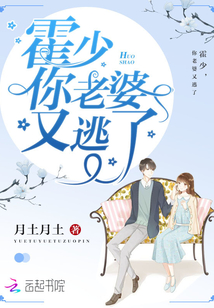 全是车的泡面番