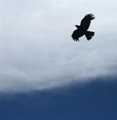 大小姐的调教方法