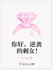 YIN荡公主挨CAO记小说