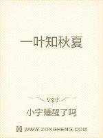 男男车车cp视频