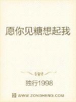 公交车系列500全集