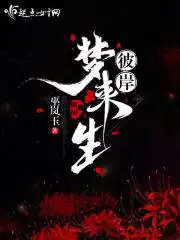 幸福宝APP进入网页在线观看