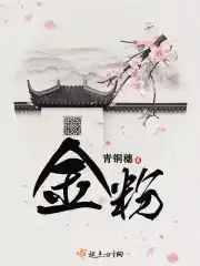 精品卡一卡二卡三免费